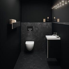 Geberit Acanto and Sigma50
